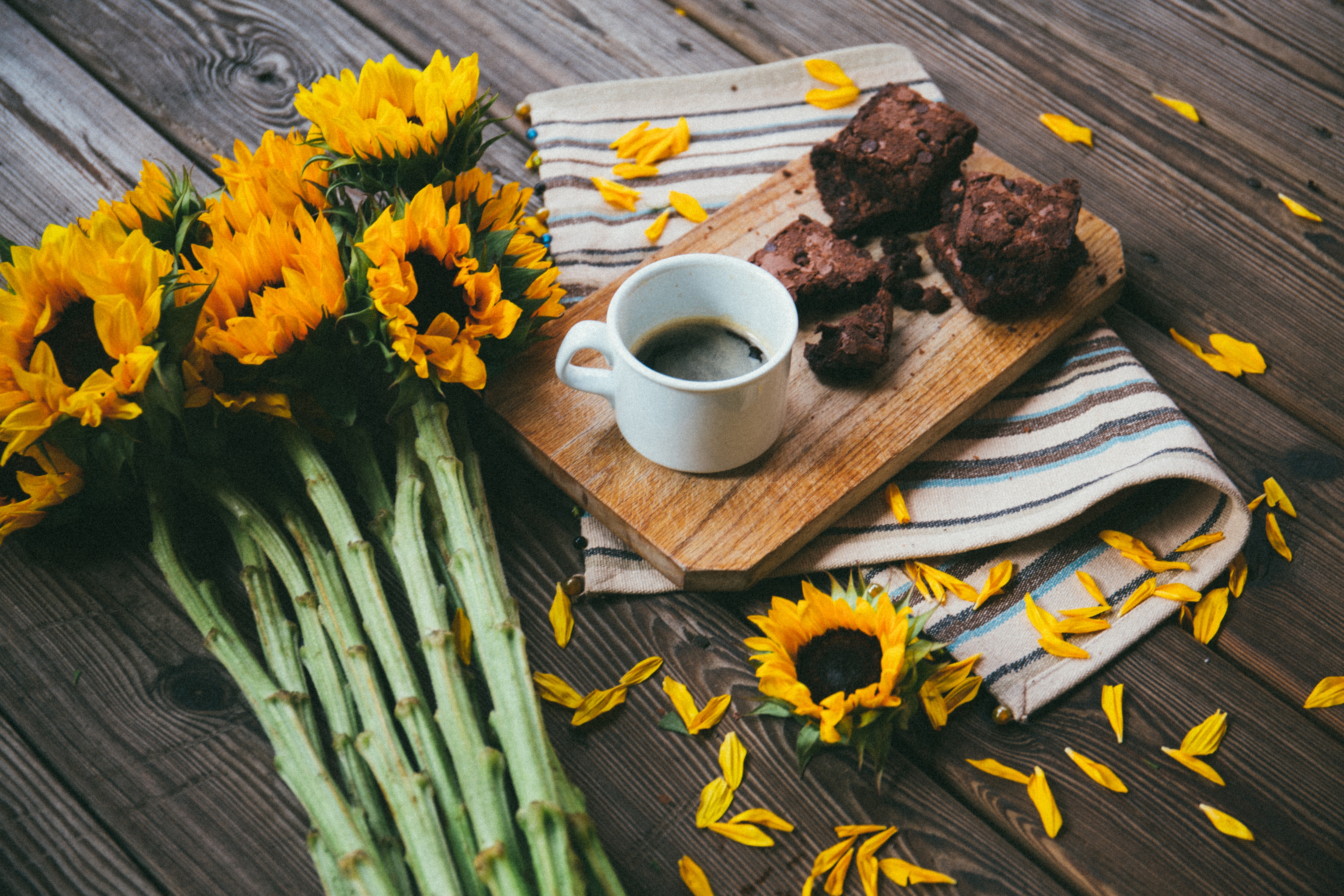 Healthiest Black Bean Brownies
