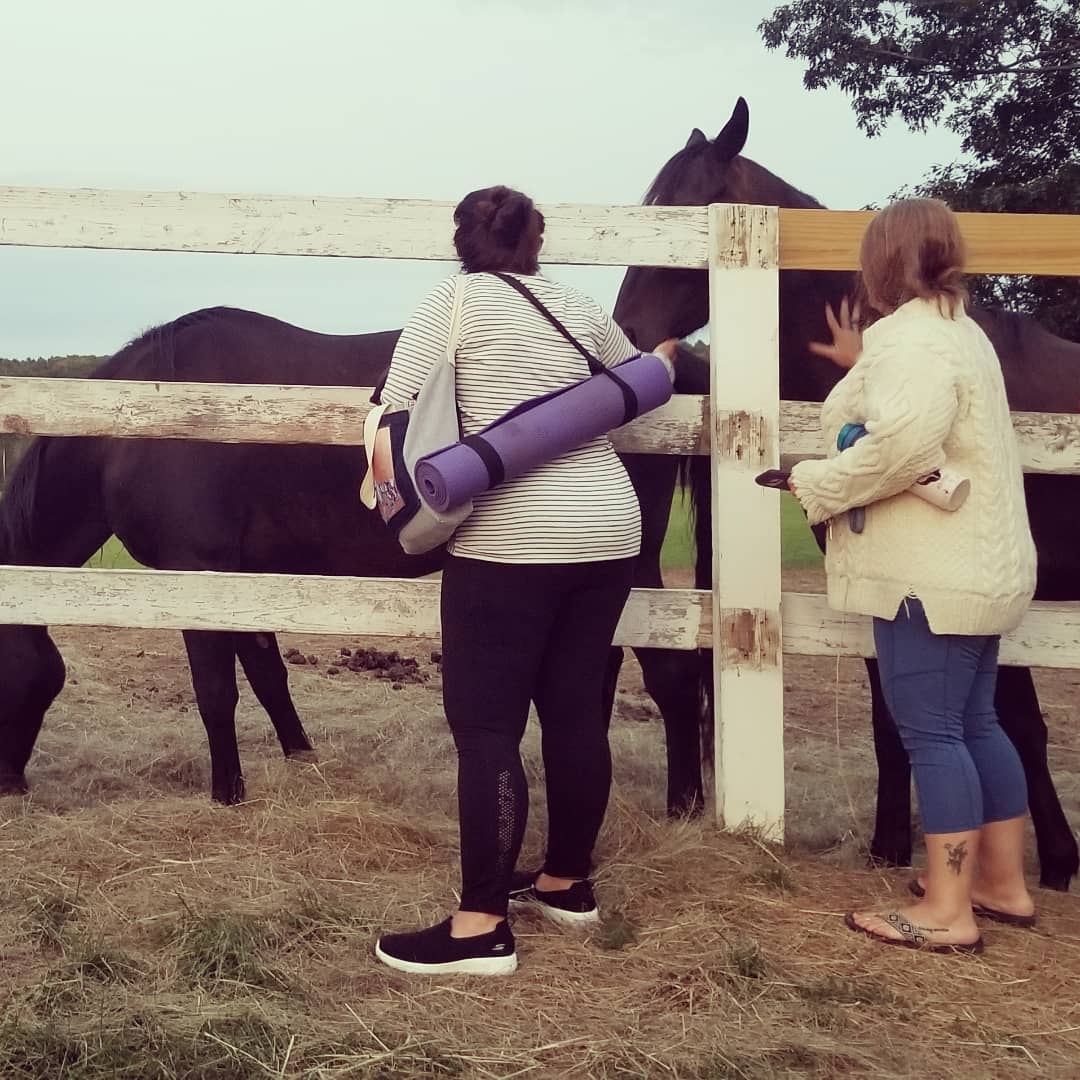 Poses with Ponies Horse Yoga Maine